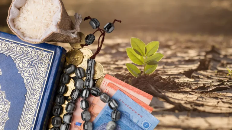 Climate Finance and the Muslim World: An Assessment of Current Efforts